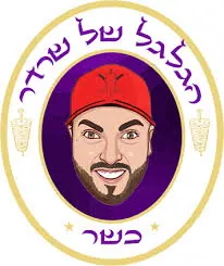 הגלגל של שרדר
